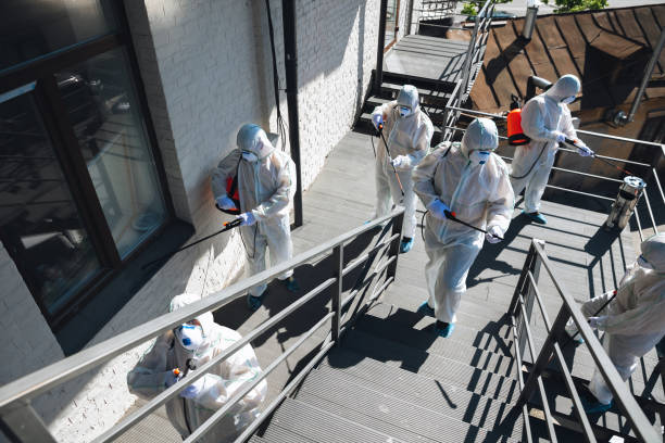 Best Mold Documentation for Insurance Claims  in Halsey, OR