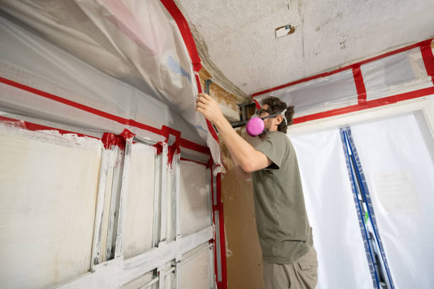 Best Emergency Mold Remediation  in Halsey, OR