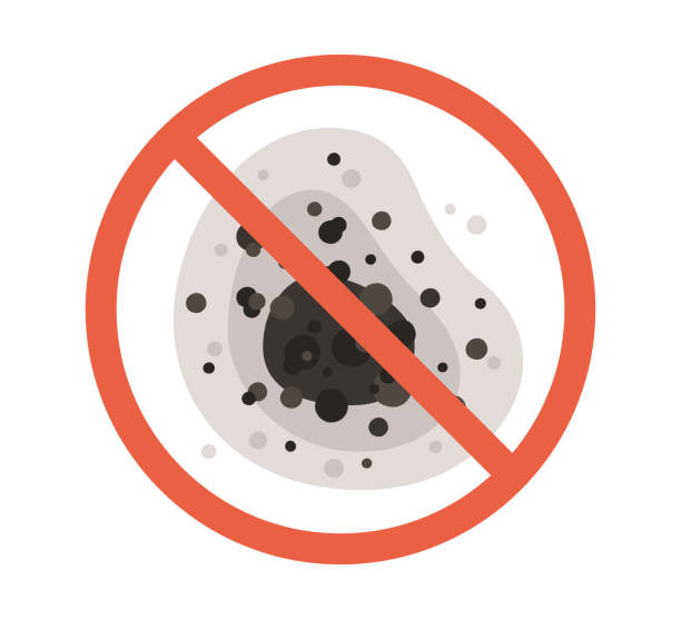 Best Residential Mold Inspection & Testing  in Halsey, OR