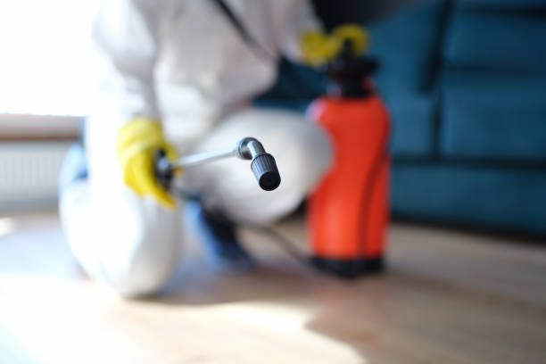 Biohazard Mold Removal in Halsey, OR